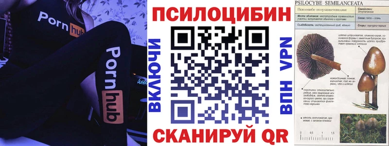 Галлюциногенные грибы GOLDEN TEACHER  blacksprut ТОР  дарк нет клад  где купить наркотик  Ставрополь 
